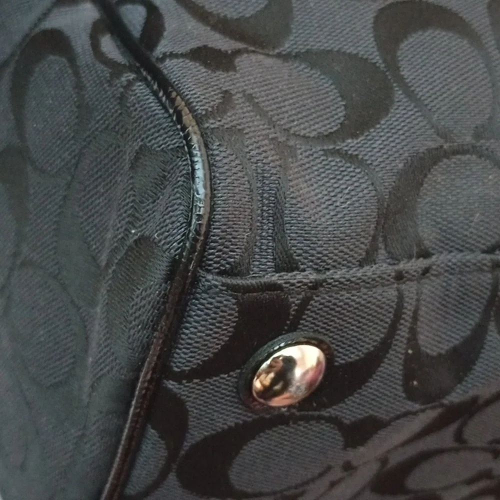 Coach Signature Stripe Python Satchel - Picture 7 of 11